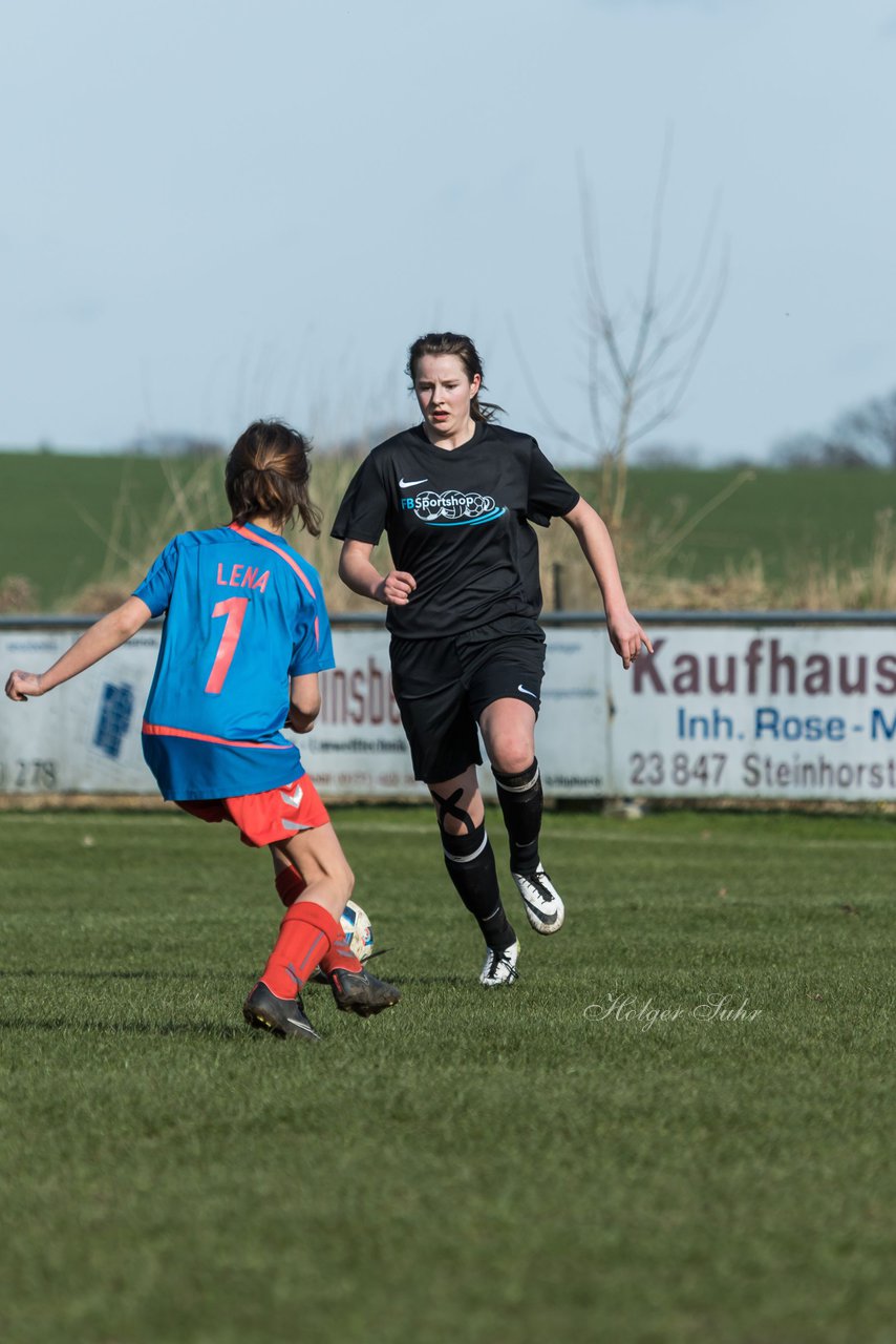 Bild 245 - C-Juniorinnen SV Steinhorst/Labenz - TSV Friedrichsberg-Busdorf : Ergebnis: 5:0